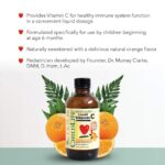 CHILDLIFE ESSENTIALS Liquid Vitamin C - Immune Support, Vitamin C Liquid, All-Natural, Gluten-Free, Allergen Free, Non-GMO, High in Antioxidants - Orange Flavor, 4 Fl Oz Bottle (Pack of 2) - Image 3