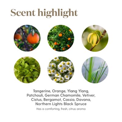 Young Living Peace & Calming II Essential Oil - 5ml - 100% Pure and Premium-Grade - Diffuser-Friendly - Comforting, Fresh Citrus Aroma - Promotes Peaceful Meditation - Image 6