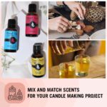 Sweet Gift Set of 6 Premium Grade Fragrance Oils - Bubble Gum, Orange Creamsicle, Peaches & Cream, Blue Cotton Candy, Oatmeal Cookie Dough, Chocolate - 10Ml - Scented Oils - Image 4