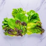 AeroGarden Salad Greens Mix Seed Kit, 6-pod - Image 5