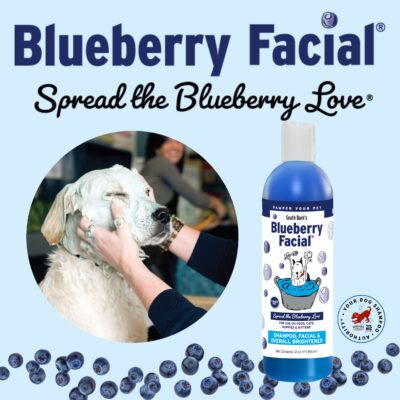 South Bark's Blueberry Facial? Pet Shampoo 12 oz. | Brightener & Tear Stain Remover | Long-Lasting Odor Eliminator | Cruelty-Free | Paraben-Free | Made in The USA - Image 4