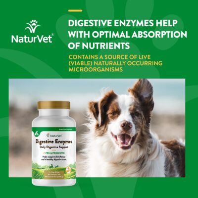 NaturVet ? Digestive Enzymes - Plus Probiotics & Prebiotics ? Helps Support Diet Change & A Healthy Digestive Tract ? for Dogs & Cats (Chewable Tablets, 60 Count) - Image 4