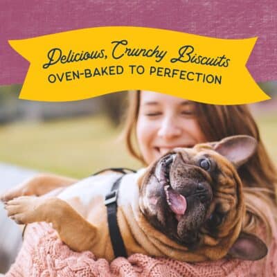 Natural Balance Limited Ingredient Rewards Crunchy Biscuits, Grain-Free Dog Treats for Adult Dogs of All Breeds, Venison Recipe, 14 Ounce (Pack of 1) - Image 4