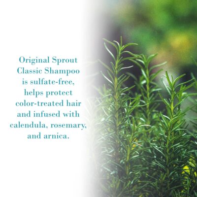 Original Sprout Classic Shampoo for All Hair Types, Sulfate Free and Vegan Shampoo, 4 oz. Bottle - Image 3