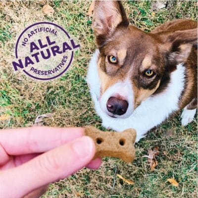 Old Mother Hubbard by Wellness Mother's Solutions Hip & Joint Natural Dog Treats, Crunchy Oven-Baked Biscuits, Ideal for Training, 20 ounce bag - Image 4