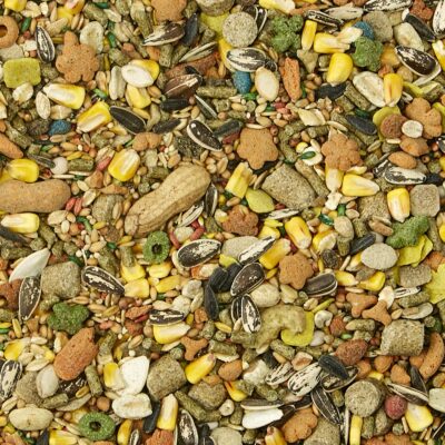 Kaytee Fiesta Pet Mouse and Rat Food, 4.5 Pound - Image 6