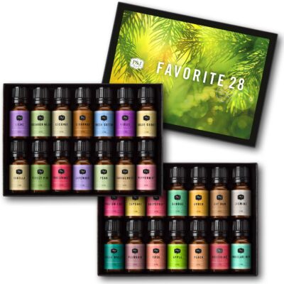 P&J Trading Fragrance Oil Favorite Set | Candle Scents for Candle Making, Freshie Scents, Soap Making, Diffuser Oil Scents