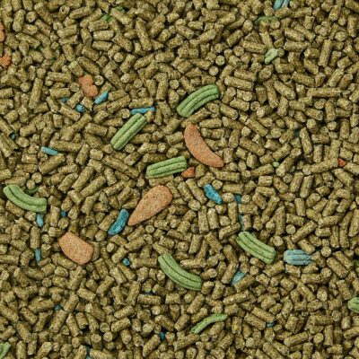 Kaytee Forti-Diet Pro Health Food for Pet Guinea Pigs, 5 Pound - Image 5