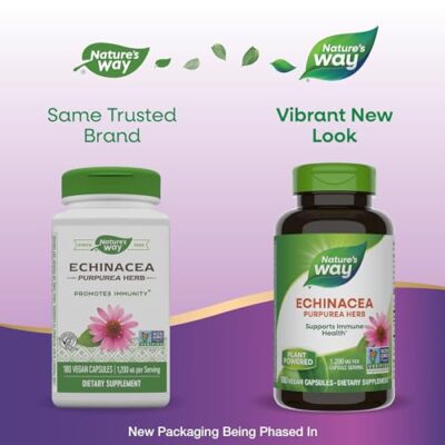 Nature's Way Echinacea Purpurea Herb, Immune Support*, 1,200 mg per 3- Capsule Serving, Non-GMO Project Verified, Vegan, 180 Capsules (Packaging May Vary) - Image 2