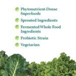 Garden of Life Perfect Food Super Green Formula - 14 Servings | 45 Superfoods, Greens, Fruit & Veggie Juice Superfood Powder Supplement, Probiotics & Organic Spirulina for Digestion & Immune Health - Image 2