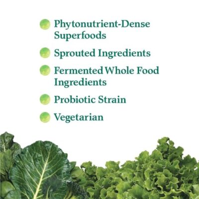 Garden of Life Perfect Food Super Green Formula - 14 Servings | 45 Superfoods, Greens, Fruit & Veggie Juice Superfood Powder Supplement, Probiotics & Organic Spirulina for Digestion & Immune Health - Image 2