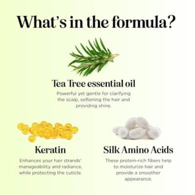 Tea Tree Conditioner for Dry Hair - Tea Tree Oil Conditioner for Oily Hair and Sulfate Free Conditioner for Dry Hair - Cleansing Conditioner and Tea Tree Dry Scalp Care with Tea Tree Oil for Hair - Image 7