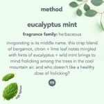 Method Bathroom Cleaner, Removes Mold + Mildew Stains, Eucalyptus Mint, 28 Fl Oz (Pack of 8) - Image 4