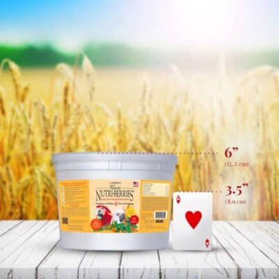 Lafeber's Classic Nutri-Berries for Macaw / Cockatoo 3.5 lb. Tub - Image 5