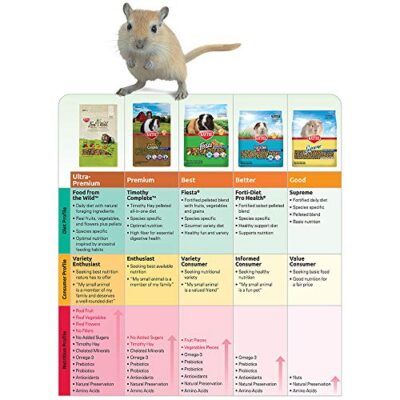 Kaytee Timothy Complete Pet Chinchilla Food, 3 Pound - Image 9