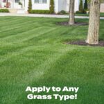 Scotts Liquid Turf Builder Lawn Fertilizer for All Grass Types, Feeds and Waters Lawn at Same Time, 32 fl. oz. - Image 4