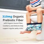 Garden of Life Dr. Formulated Probiotics for Kids, Organic Kids+ - Berry Cherry, 5 Billion CFU Chewable Probiotic Plus Vitamin C and D, Dairy Free Immune Digestive Health Supplement, 30 Chewables - Image 5