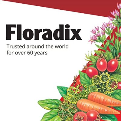 Flora, Floradix Iron, 80 Count - Image 8