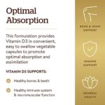 Solgar Vitamin D3 (Cholecalciferol) 125 mcg (5000 IU), 240 Vegetable Capsules - Helps Maintain Healthy Bones & Teeth - Immune System Support - Non-GMO, Gluten Free, Dairy Free, Kosher - 240 Servings - Image 4