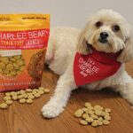 Charlee Bear Grain-Free Bear Crunch Chicken, Pumpkin & Apple Flavor Crunchy Dog Treats- 2 Pack (16oz Total) - Image 2