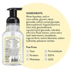 J.R. Watkins Foaming Hand Soap Pump with Dispenser, Moisturizing All Natural Hand Soap Foam, Alcohol-Free Hand Wash, Cruelty-Free, USA Made, Use as Kitchen or Bathroom Soap, Lemon, 9 fl oz, 6 Pack - Image 6