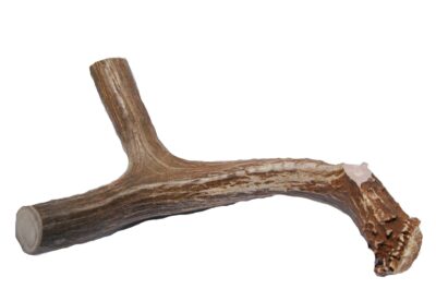 XL Deer Antler Dog Chew - Extra Large, Jumbo, for Large Dogs and Puppies Who are Aggressive Chewers - Image 2