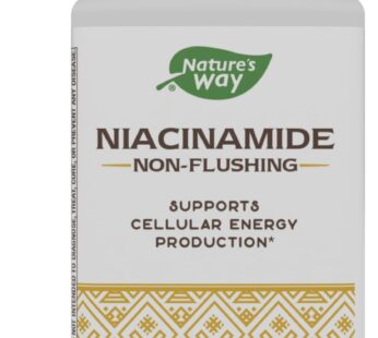 Nature’s Way Niacinamide, Supports Cellular Energy*, 500mg per Serving, 100 Capsules