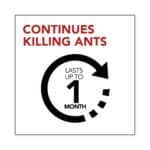 Raid Ant Gel, Kills Ants You Don't See 1.06 Ounce (Pack of 1) - Image 3