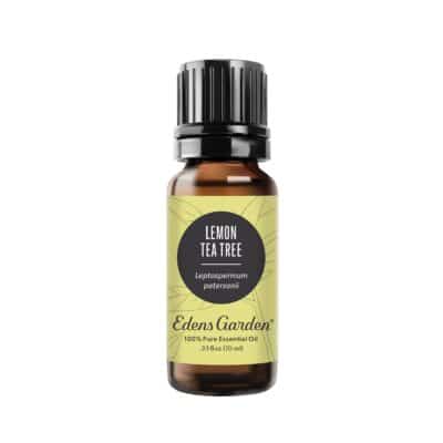 Edens Garden Lemon Tea Tree Essential Oil, 100% Pure Therapeutic Grade (Undiluted Natural/Homeopathic Aromatherapy Scented Essential Oil Singles) 10 ml