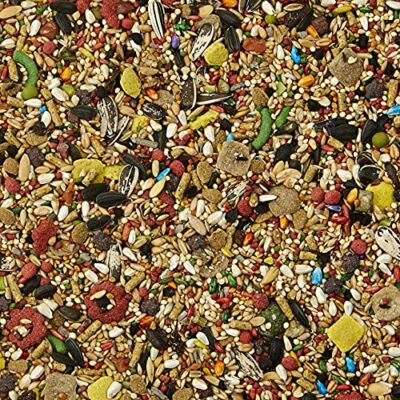 Kaytee Fiesta Cockatiel Pet Bird Food, 4.5 Pound - Image 6