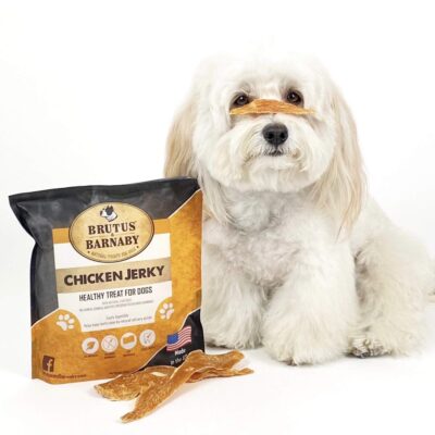 BRUTUS & BARNABY Chicken Jerky Dog Treats- Dehydrated Crunchy USA Premium Fillets, Grain-Free, Preservative-Free, No Fillers. All Natural Chicken Strips are Great for Dogs and Cats (10oz) - Image 9