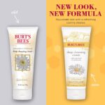 Burt's Bees Face Wash, Deep Facial Cleansing Cream, College Back to School Dorm Essentials, All Natural Cleanser with Chamomile, 6 Ounce (Pack of 3) (Packaging May Vary) - Image 2