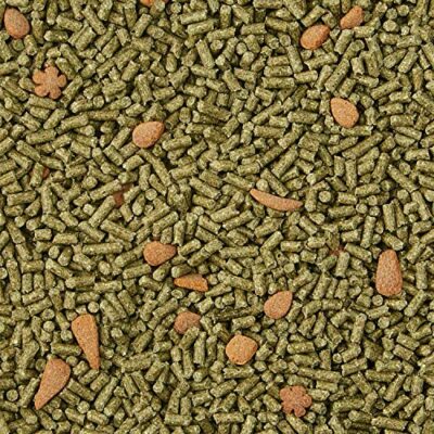 Kaytee Forti-Diet Pro Health Juvenile Rabbit Food 5lb - Image 4