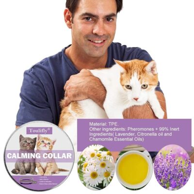 Nature's Miracle Urine Destroyer for Dogs, Light Fresh Scent, Tough on Strong Dog Urine and The Yellow Sticky Residue - Image 4