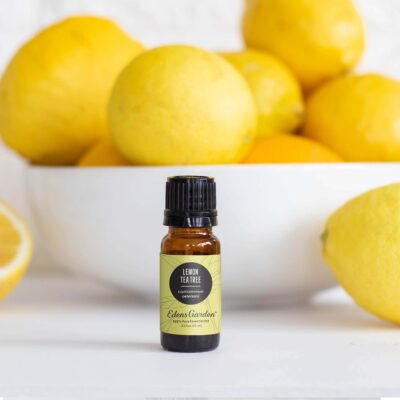 Edens Garden Lemon Tea Tree Essential Oil, 100% Pure Therapeutic Grade (Undiluted Natural/Homeopathic Aromatherapy Scented Essential Oil Singles) 10 ml - Image 2