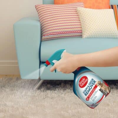 Simple Solution Pet Stain and Odor Remover | Enzymatic Cleaner with 2X Pro-Bacteria Cleaning Power | 32 Ounces - Image 4