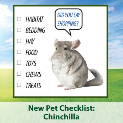 Kaytee Timothy Complete Pet Chinchilla Food, 3 Pound - Image 8