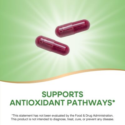 Nature's Way Beet Root, Supports Antioxidant Pathways*, Helps Neutralize Free Radicals*, 1,000 mg per 2-Capsule Serving, Vegan, 320 Capsules (Packaging May Vary) - Image 3