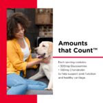 Nutri-Vet Hip & Joint Chewable Dog Supplements- Formulated with Glucosamine & Chondroitin for Dogs- 120 Count - Image 3