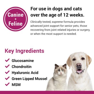 Vet Classics ArthriEase-Gold Hip & Joint Support for Dogs, Cats, Horses ? Chewable Tablet Health Supplement ? Alleviate Aches, Discomfort ? for Flexibility, Healthy Joint ? Antioxidant - 120 Ct - Image 5