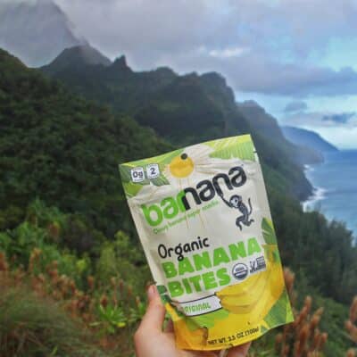 Barnana Organic Chewy Banana Bites, Original, 3.5 Ounce (Pack of 12), (3023) - Image 4