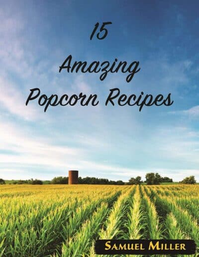 Amish Country Popcorn | Buttery Popcorn Topping | 16 oz Jar | Old Fashioned, Non-GMO and Gluten Free (16 oz Jar) - Image 7