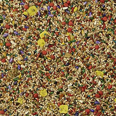 Kaytee Fiesta Parakeet Pet Bird Food, 4.5 Pound - Image 6