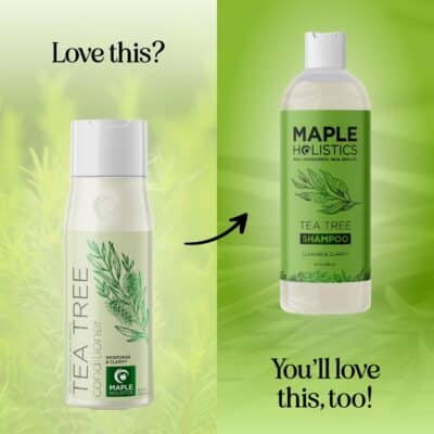 Maple Holistics Tea Tree Conditioner - 16 Fl Oz - Sulfate Free with Tea Tree Oil for Dry, Damaged Hair and Scalp Care - Image 4