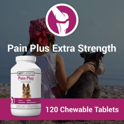 Vet Classics Pain Plus Extra Strength Health Supplement for Dogs - 120 Chewable Tablets - Image 2