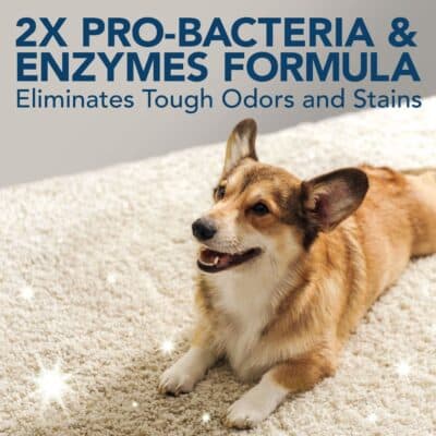 Simple Solution Pet Stain and Odor Remover | Enzymatic Cleaner with 2X Pro-Bacteria Cleaning Power | 32 Ounces - Image 6