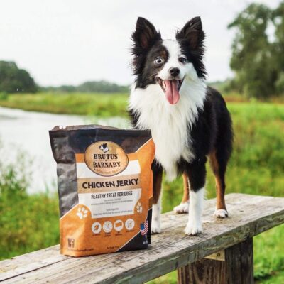 BRUTUS & BARNABY Chicken Jerky Dog Treats- Dehydrated Crunchy USA Premium Fillets, Grain-Free, Preservative-Free, No Fillers. All Natural Chicken Strips are Great for Dogs and Cats (10oz) - Image 4