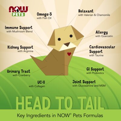NOW Pet Health, G.I. Support Supplement, Formulated for Cats & Dogs, NASC Certified, 90 Chewable Tablets - Image 4