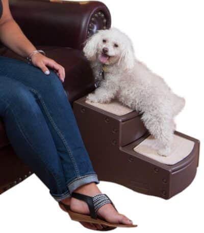 Pet Gear Easy Step II Pet Stairs, 2 Step for Dogs up to 75-pounds, Portable, Removable Washable Carpet Tread, No Tools Required, Available in 4 Colors