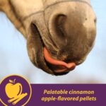 Horse Health Joint Combo Hoof & Coat, Convenient 3-in-1 Horse Joint Supplement Provides Complete Joint, Hoof and Coat Care, 3.75 lbs., 30 Day Supply - Image 8